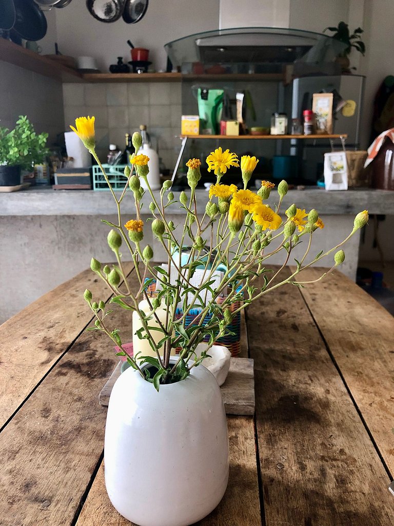 Loft Cocina Integral San Miguel de Allende
