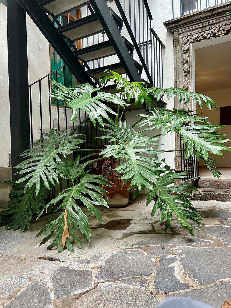 3 deptos en el mismo lugar: Penthouse con doble altura y mag