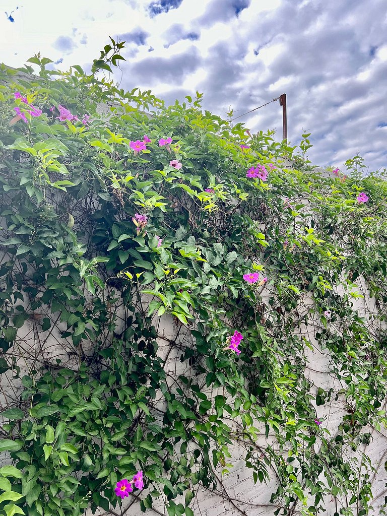 Penthouse San Miguel de Allende, Casas del Obraje